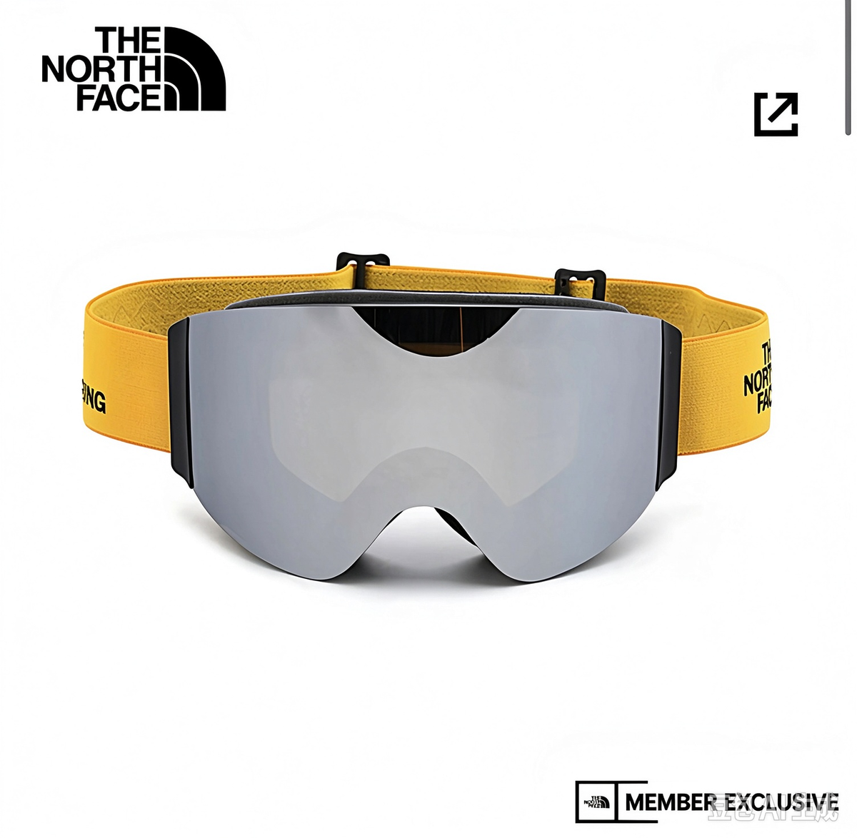 The North Face Ski Goggles with Pouch